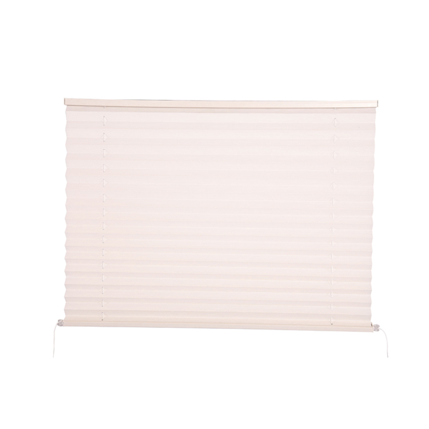 25MM RV window pleated blinds