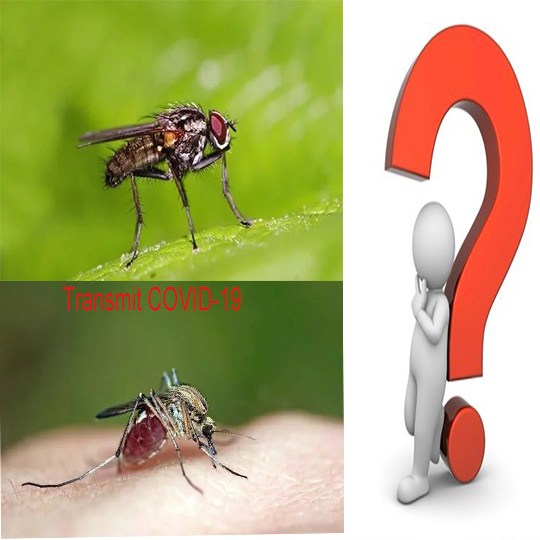 будет ли covid-19 распространяться через комнатную муху или комаров?
